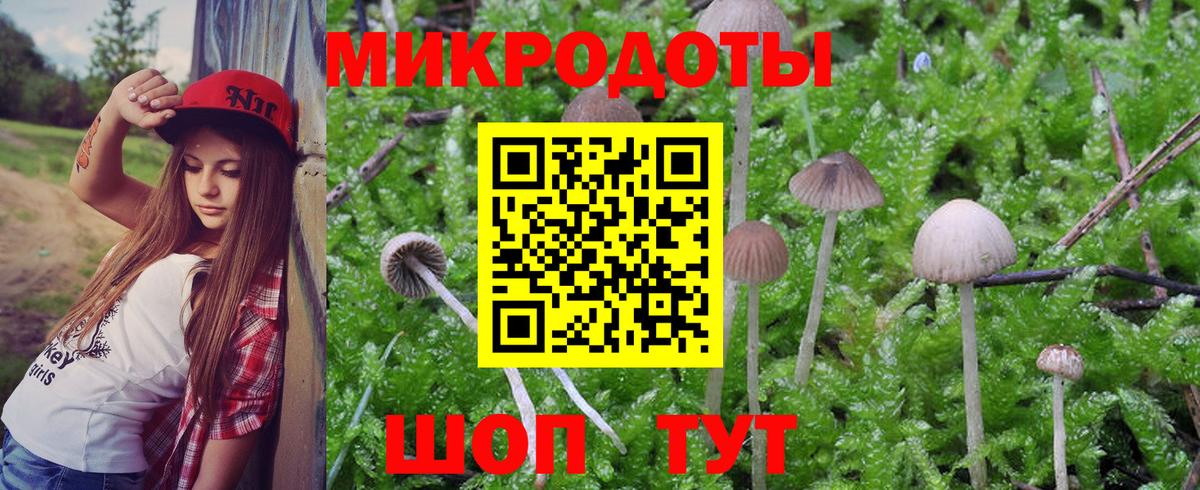 Галлюциногенные грибы мухоморы Гулькевичи